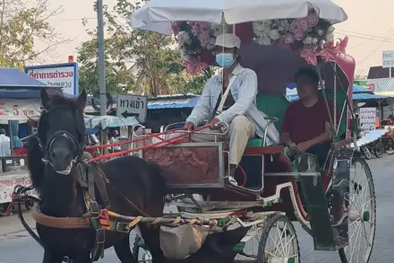 เที่ยวเมืองลำปาง วัดล้านนาและเมืองเก่ากาดกองต้ากับรถม้า